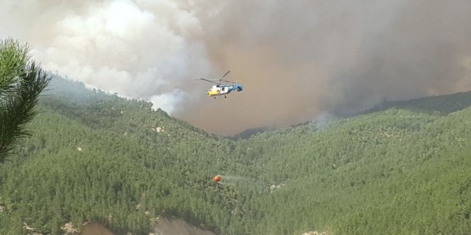 Kütahya’da ikinci orman yangını