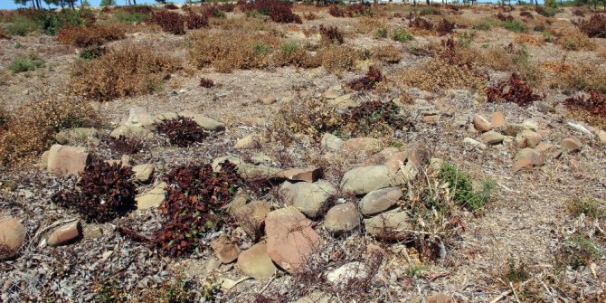 Tarihi Gelibolu Yarımadası’na 15 yeni şehitlik