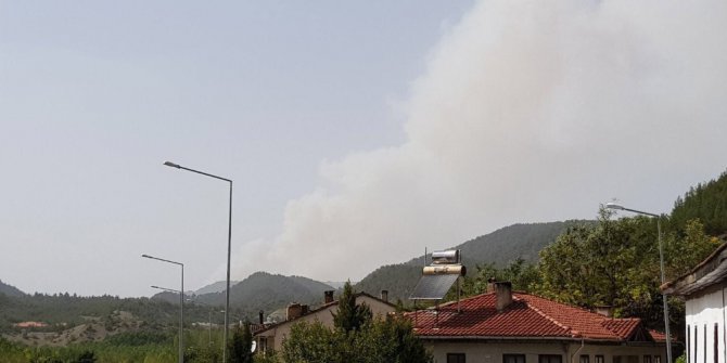 Sakarya’da başlayan orman yangını hızla büyüyor