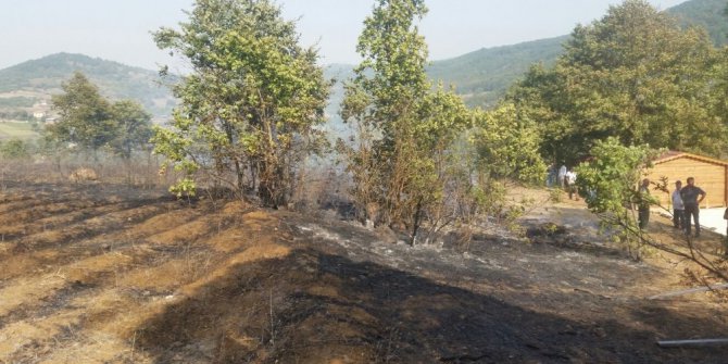 Bursa’da 3 hektarlık ormanlık alan yandı