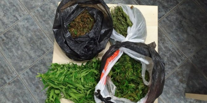 Bodrum’da uyuşturucu operasyonu