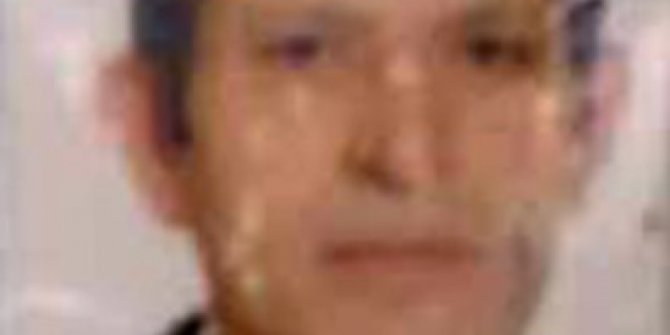 Arıların saldırısına uğrayan şahıs hayatını kaybetti