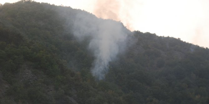 Tokat’ta orman yangını