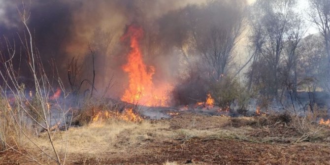 Malatya’da orman yangını korkuttu