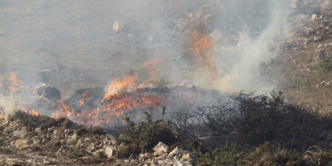 Domaniç’te çıkan orman yangını Bilecik sınırına ulaştı