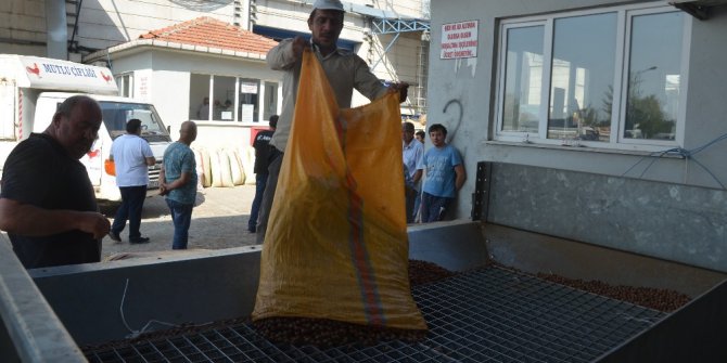 Üreticiler TMO’yu tercih ediyor