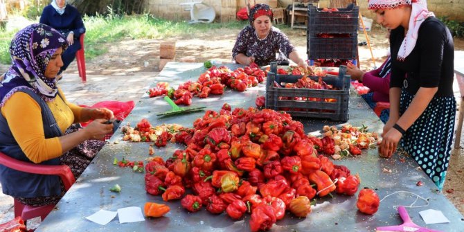 Anadolu kadınının biber salçası mesaisi