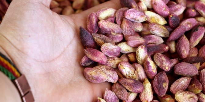 Fıstıkta rekolte düştü, fiyatlar tavan yaptı