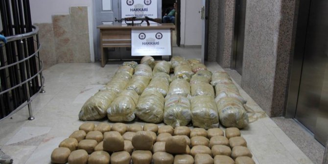 Hakkari’de 703 kilo 560 gram toz esrar ele geçirildi
