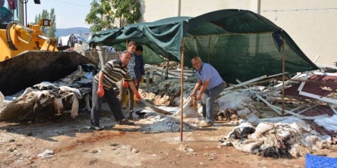 Kurban derileri yola çıkıyor