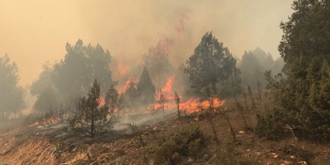 Dursunbey’de yaklaşık 100 hektar alan yangında zarar gördü
