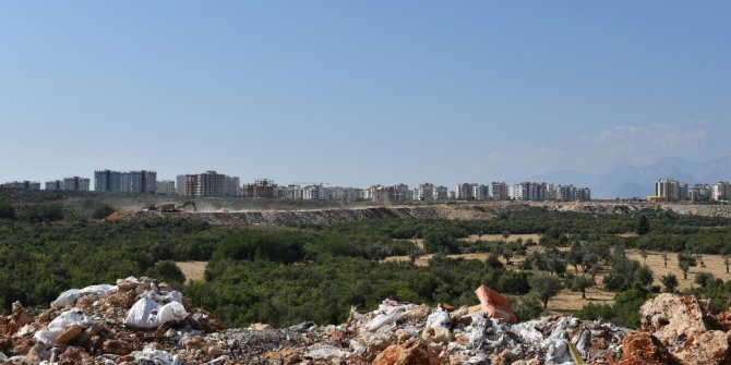 Kepez zeytin bahçesi olacak