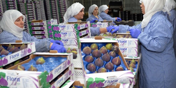 Bursa siyahı, üreticinin yüzünü güldürüyor