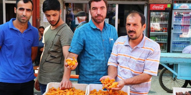 Yüksek rekolte kayısı fiyatlarını yarı yarıya düşürdü