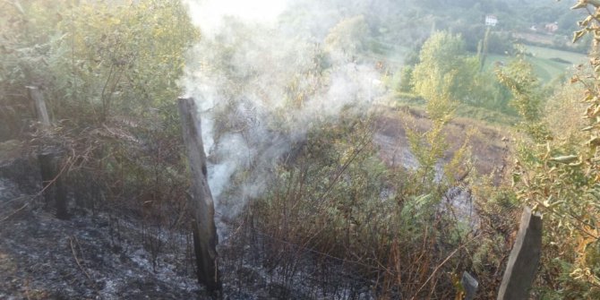 Fındık bahçesi kül oldu