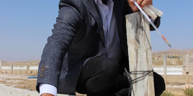 Tuzlu kaynak suyu birçok derde deva