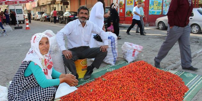 Kuşburnu pazara indi