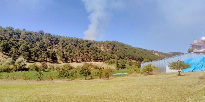 Bursa’da orman yangını çıktı