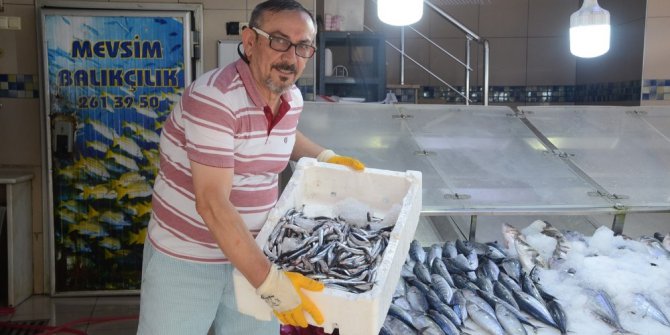 Marmara hamsisi Sinop tezgahlarında