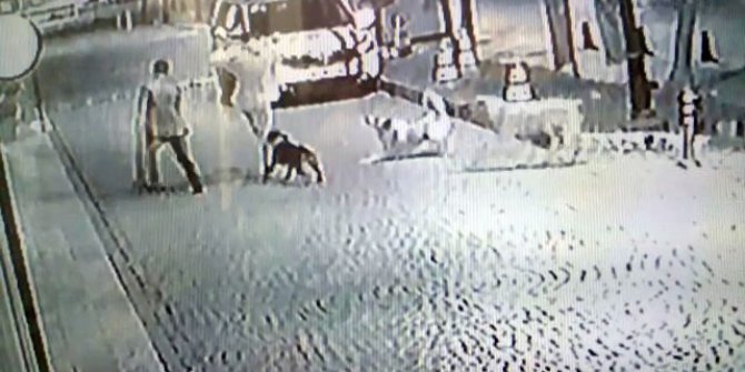Göktürk’te sokak köpekleri bir genci böyle ısırdı