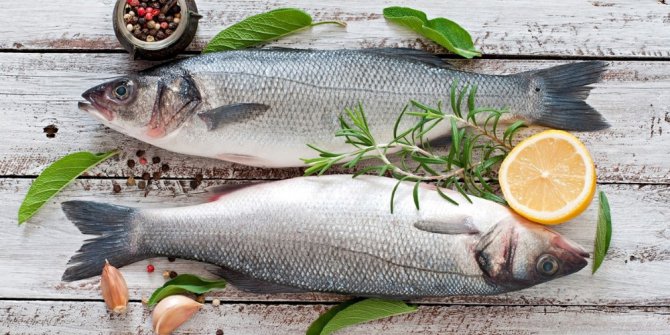 Türkiye balık tüketiminde dünya ortalamasının gerisinde