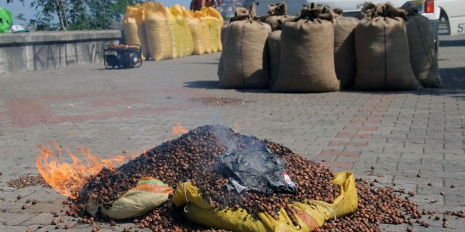 Fındık fiyatını fındığını yakarak tepki gösterdi
