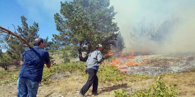 Sivas’ta orman yangını