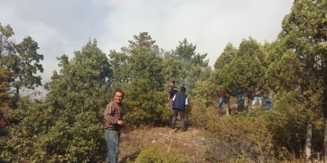 Domaniç’teki orman yangını kontrol altına alındı