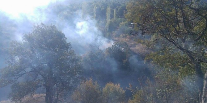 Samanlıkta çıkan yangın ormana sıçradı