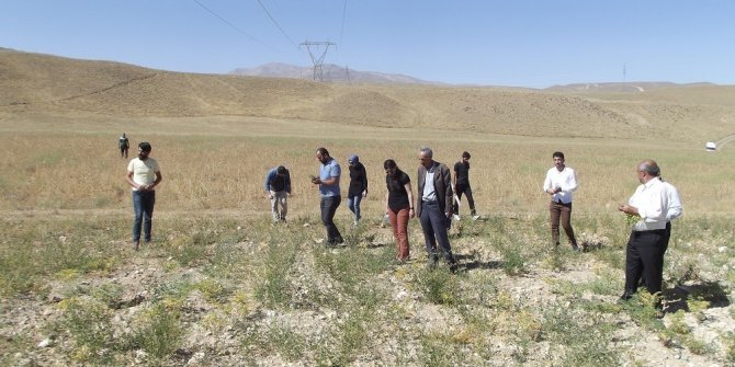 Başkale’deki nohut tarlasında inceleme