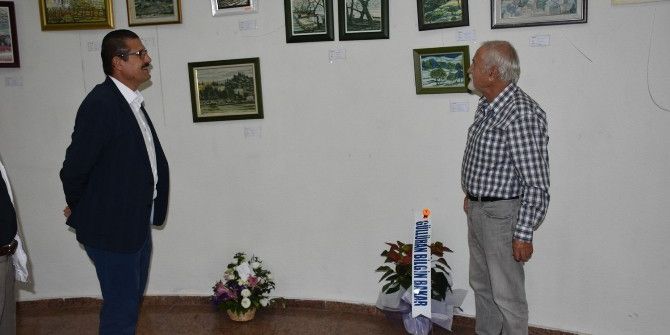 Ağaçların Sessizliği Sergisi