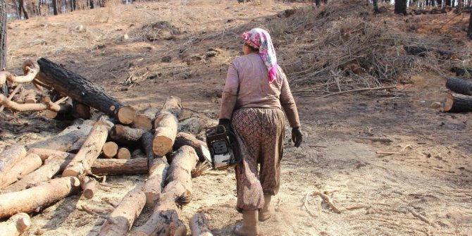 Yanan ormanlar onların ekmek kapısı