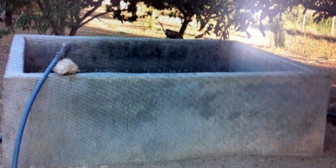 3 yaşındaki İsa, 50 santimlik havuzda boğuldu