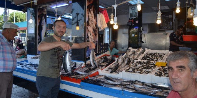 Balık sezonu kısır geçiyor