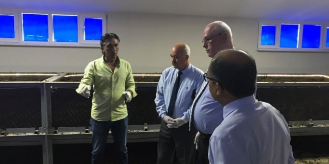 Başkan Kurt, Solucan Gübresi Üretim Tesisini inceledi