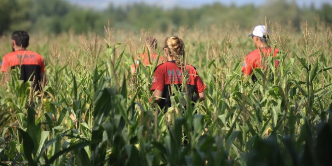 74 yaşındaki kayıp Alzheimer hastası yaşlı adamın cesedi çobanlar tarafından bulundu