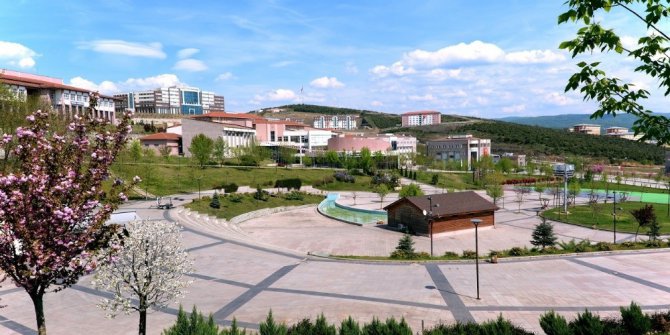 Düzce Üniversitesi Teknoloji Fakültesi kantini için ihale düzenliyor