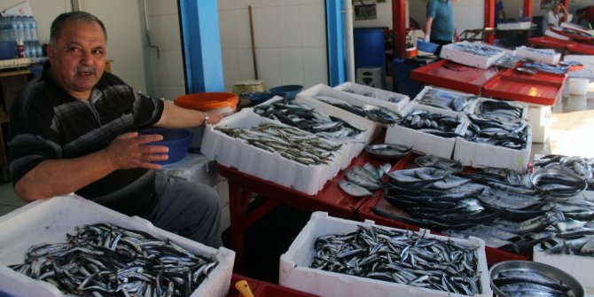 Giresun’da yerli hamsi çıktı; fiyatı ise 15 TL