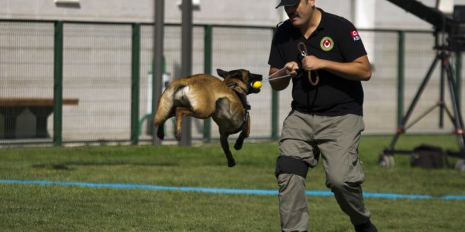 Gümrük ve Ticaret Bakanlığı Köpek Eğitim Merkezi açıldı