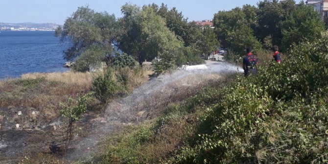 2 dönümlük alan yandı