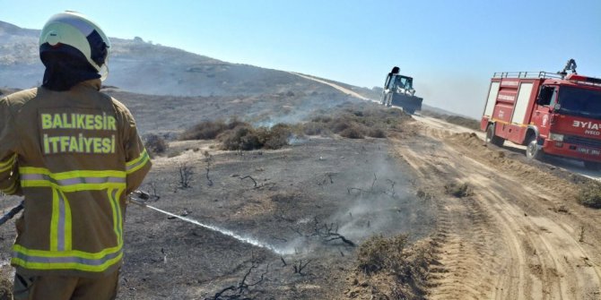 Avşa’da arazi yangını