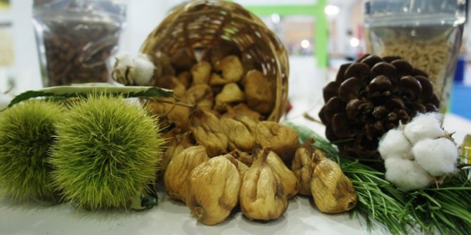 Aydın-İstanbul-Rize Ticaret Borsalarından Yörex’te ortak tanıtım