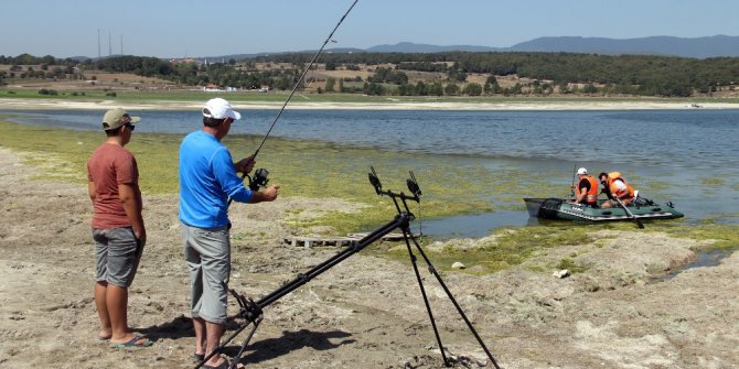 Bolu’da, sazan yakalama yarışı başladı