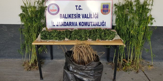 Jandarmadan uyuşturucu operasyonu: 2 gözaltı