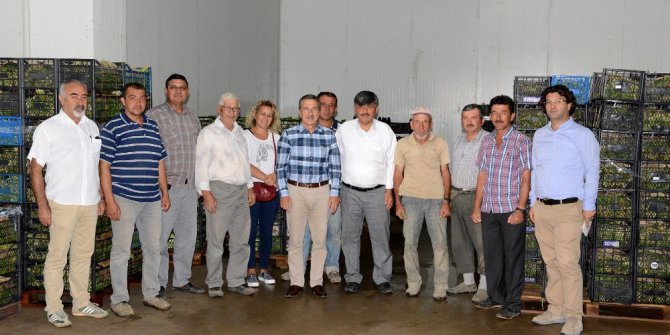 Başkan Ataç soğuk hava deposunu inceledi