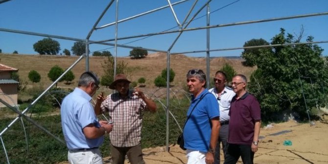 Sera kurma işlemleri hız kazandı