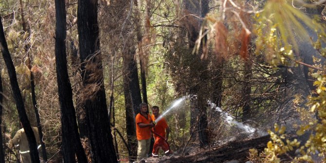 Manavgat’taki yangın kısa sürede kontrol altına alındı