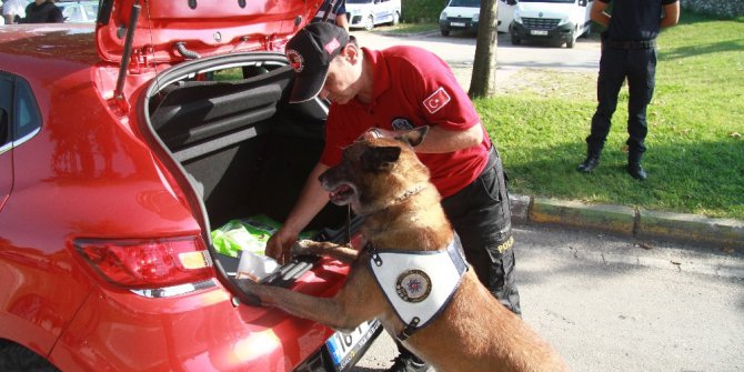 Bursa’da 150 polisle narkotik uygulaması
