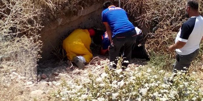 Tunceli’de yaralı köpeği AFAD ekibi kurtardı