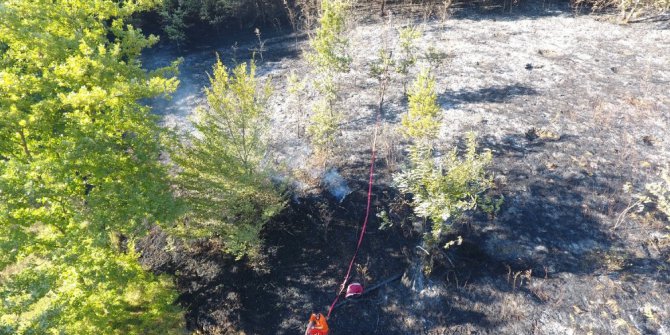 Sinop’ta fındık bahçesi yangını